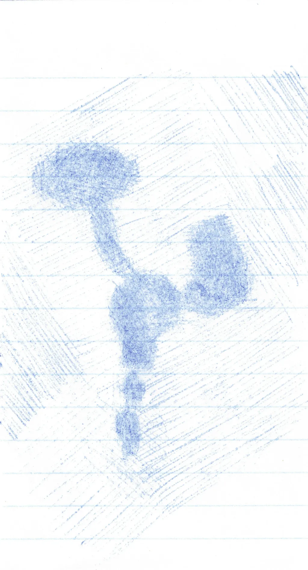 Drawing portfolio piece