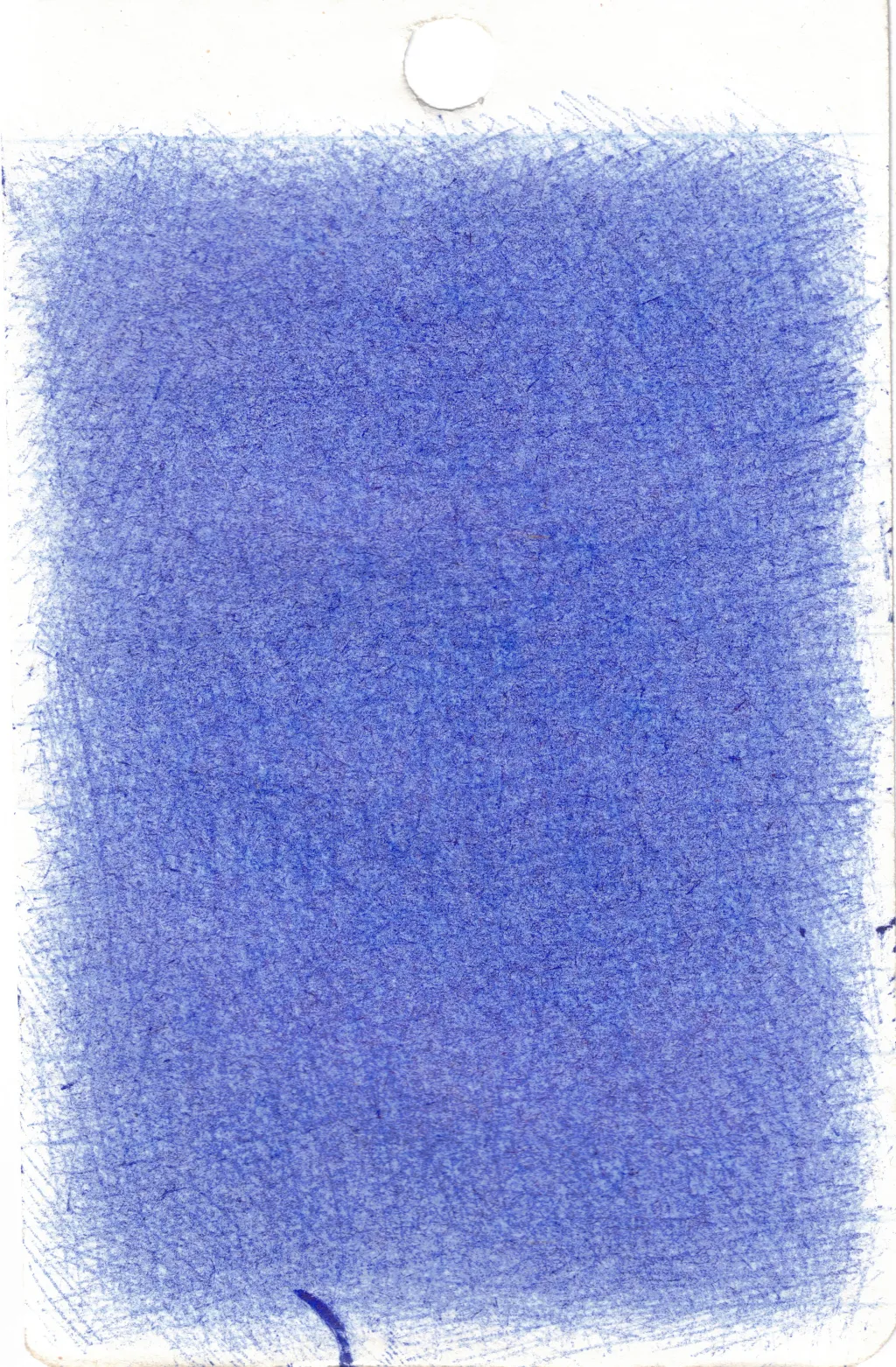 Drawing portfolio piece