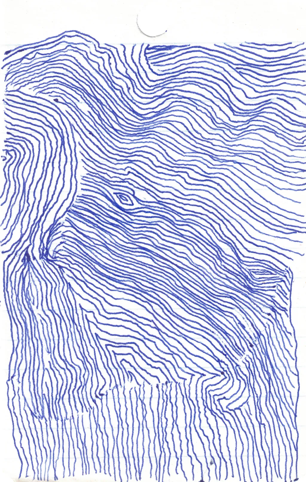 Drawing portfolio piece