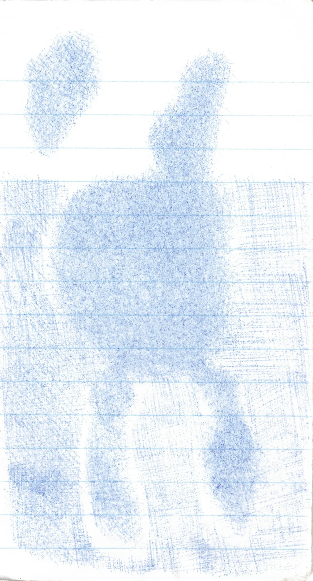 Drawing portfolio piece