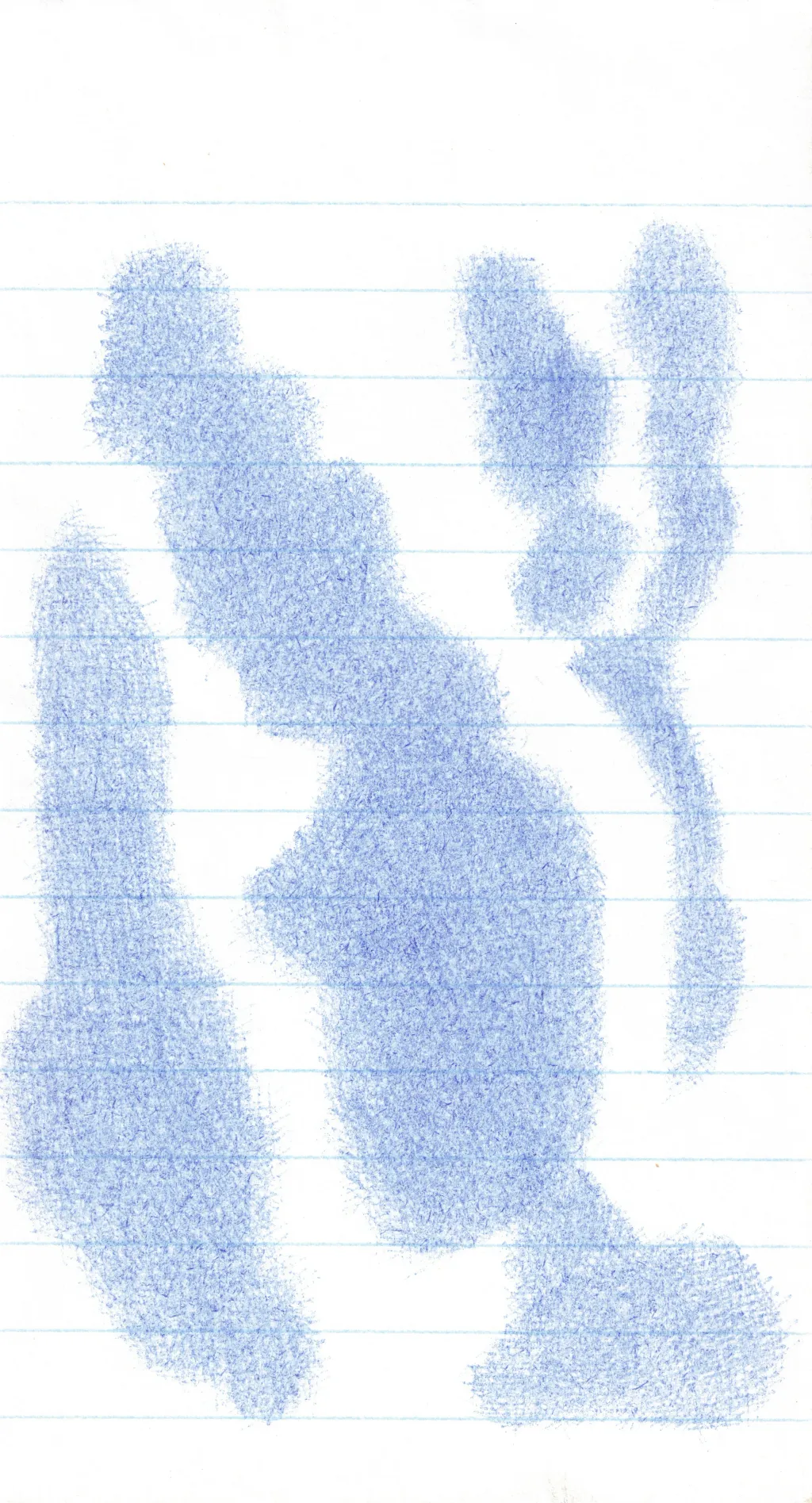 Drawing portfolio piece