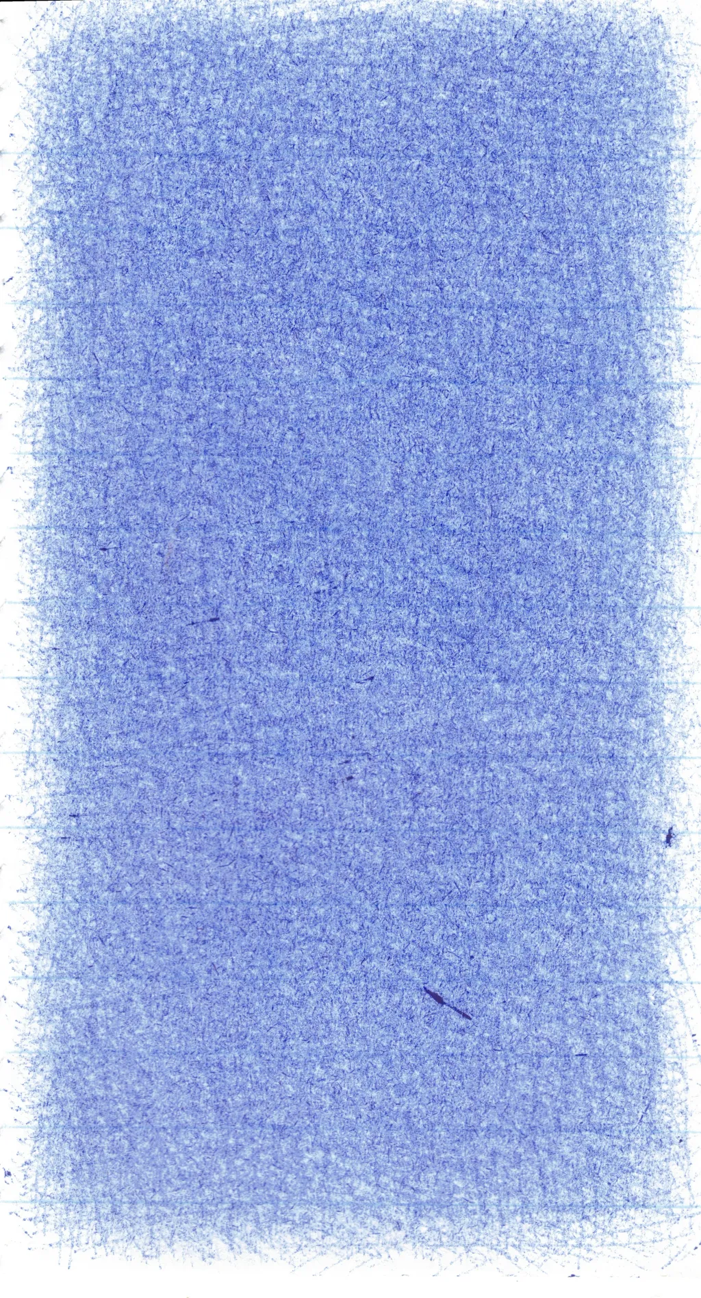 Drawing portfolio piece