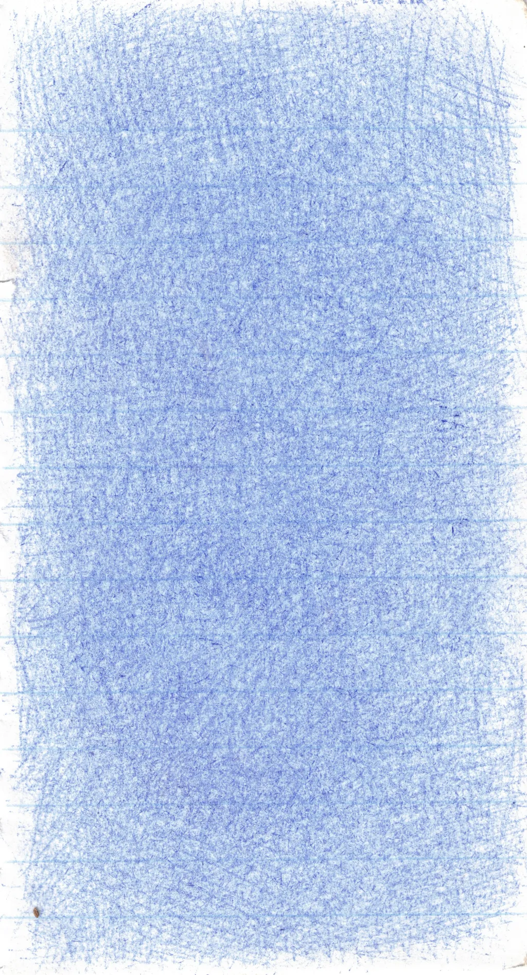 Drawing portfolio piece