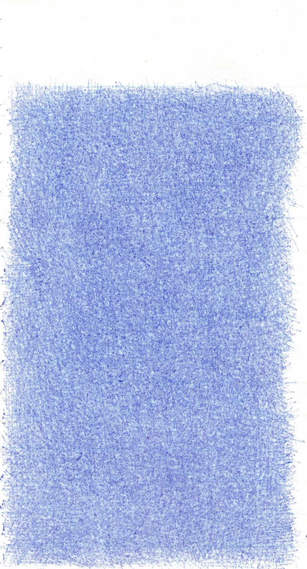 Drawing portfolio piece