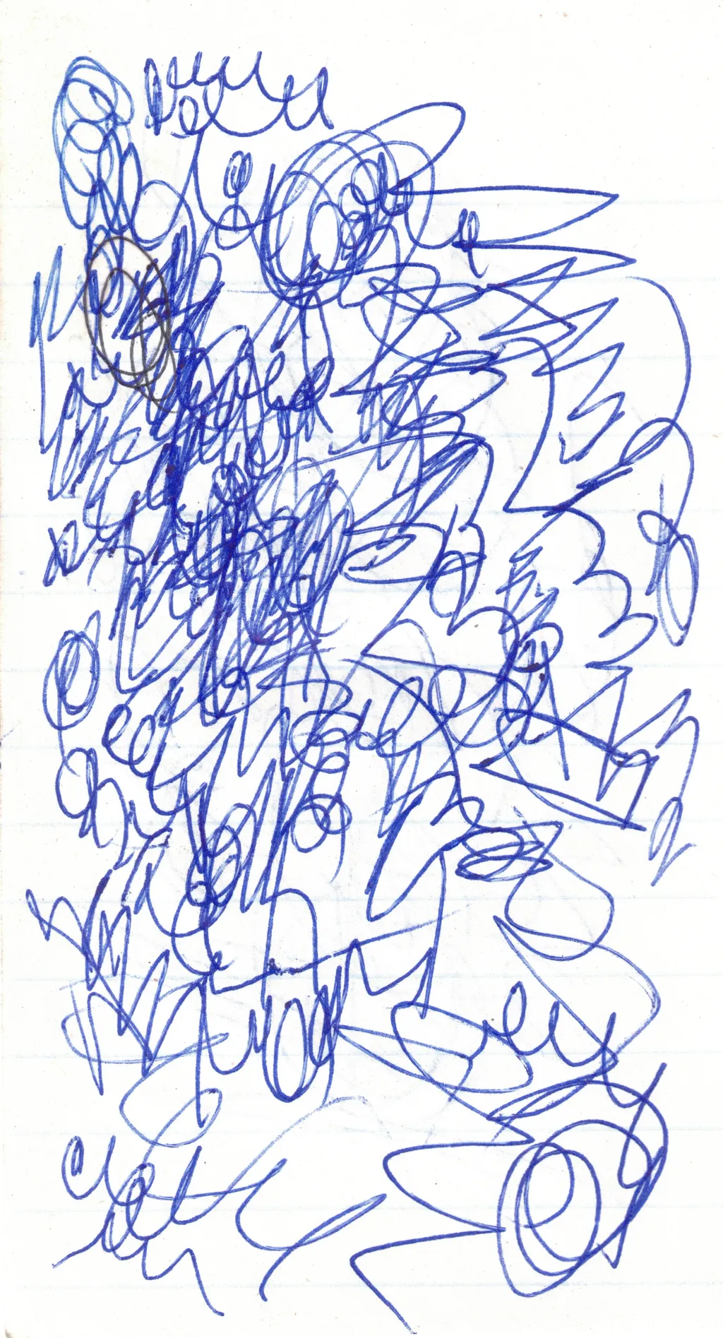 Drawing portfolio piece